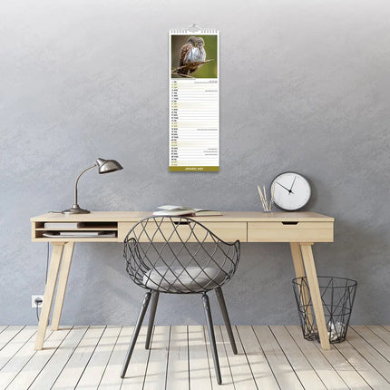 Avonside Uilen Kalender 2027 Slimline