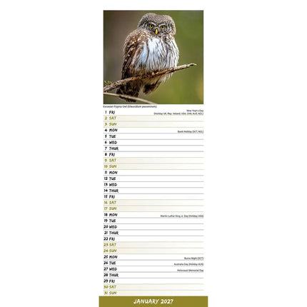 Avonside Uilen Kalender 2027 Slimline