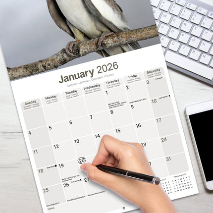 Avonside Valkparkieten Kalender 2026