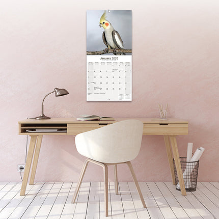 Avonside Valkparkieten Kalender 2026