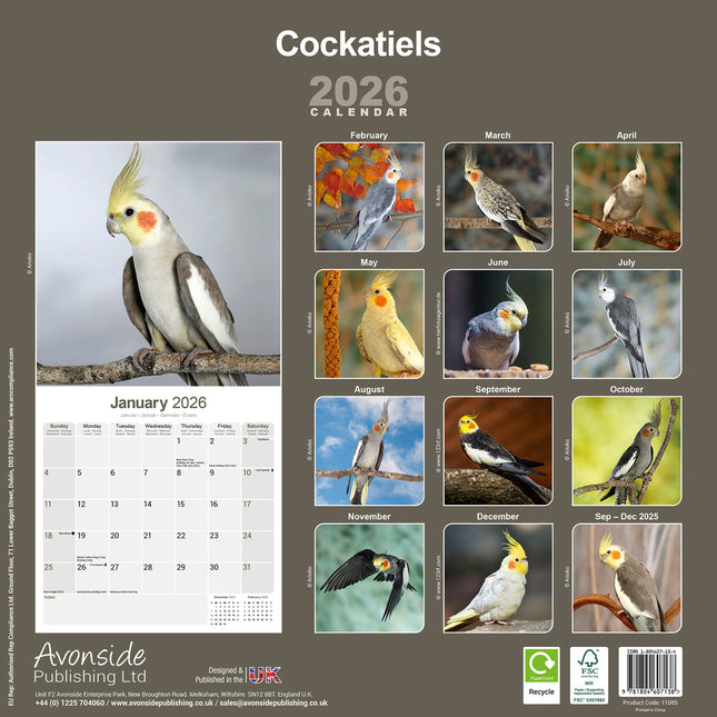 Avonside Valkparkieten Kalender 2026