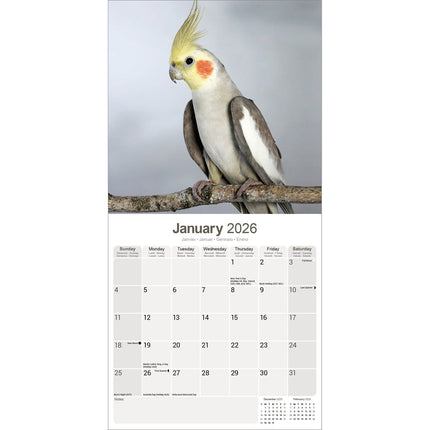 Avonside Valkparkieten Kalender 2026