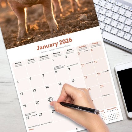 Avonside Varken Kalender 2027
