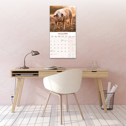Avonside Varken Kalender 2027