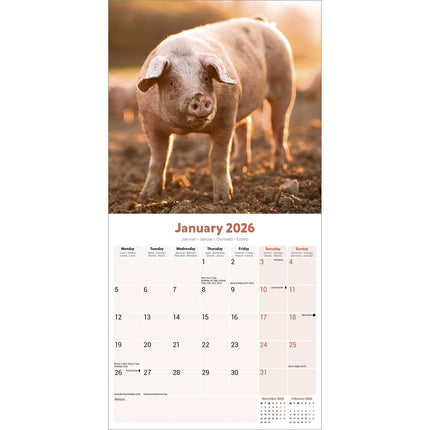 Avonside Varken Kalender 2027