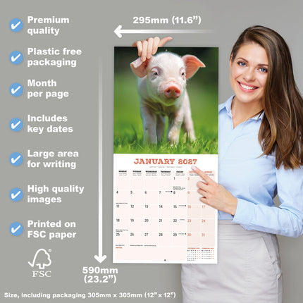Avonside Varken Kalender 2027