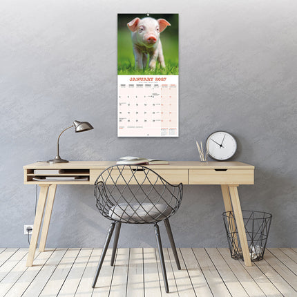 Avonside Varken Kalender 2027