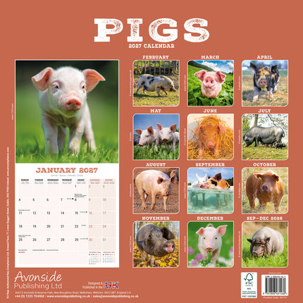 Avonside Varken Kalender 2027