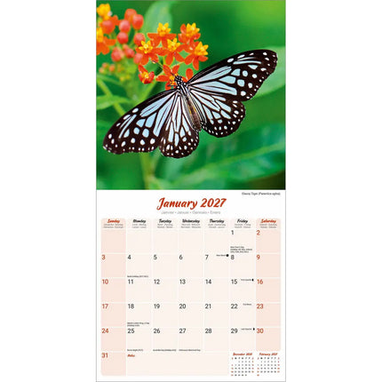Avonside Vlinder Kalender 2027