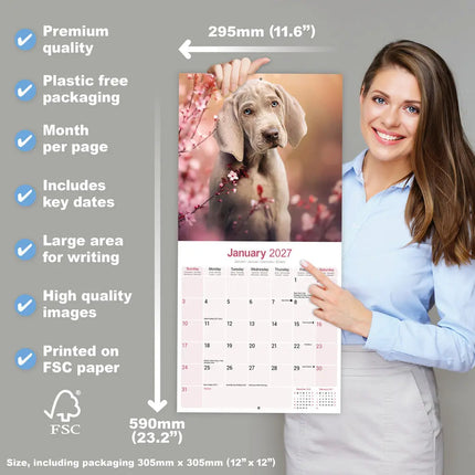 Avonside Weimaraner Kalender 2027
