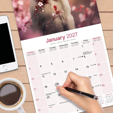 Avonside Weimaraner Kalender 2027