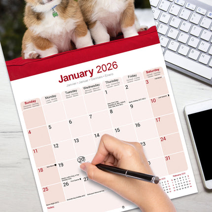 Avonside Welsh Corgi Kalender 2026