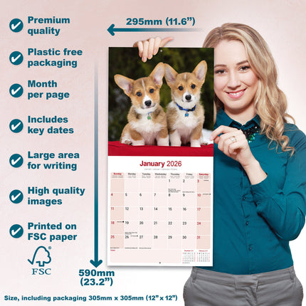 Avonside Welsh Corgi Kalender 2026