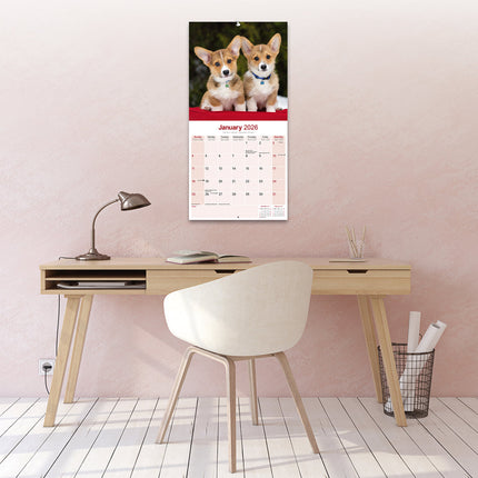 Avonside Welsh Corgi Kalender 2026