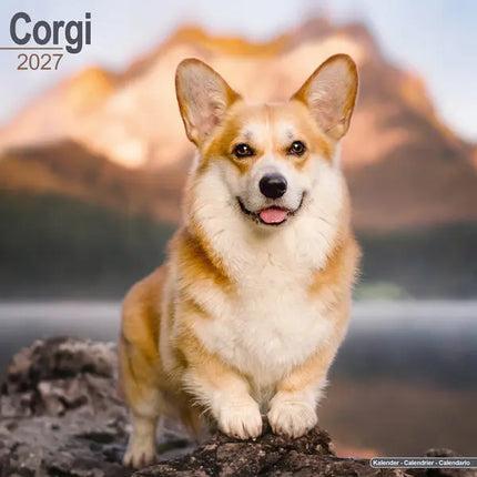 Avonside Welsh Corgi Kalender 2027