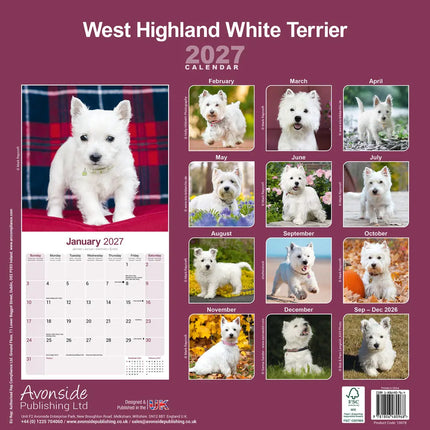 Avonside West Highland White Terrier Kalender 2027