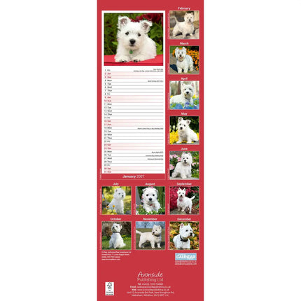 Avonside West Highland White Terrier Kalender 2027 Slimline