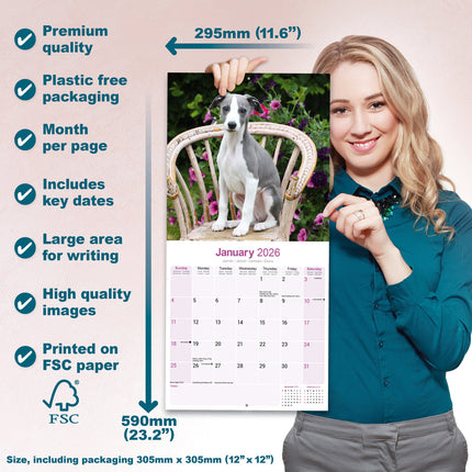 Avonside Whippet Kalender 2026