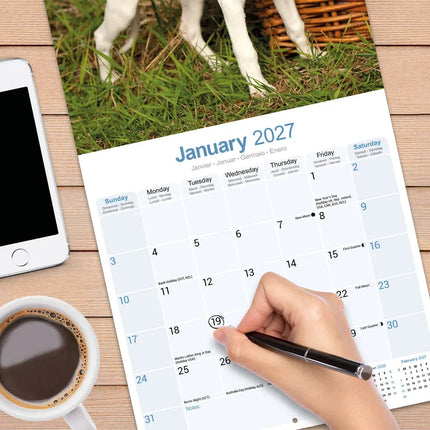 Avonside Whippet Kalender 2027