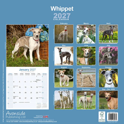 Avonside Whippet Kalender 2027