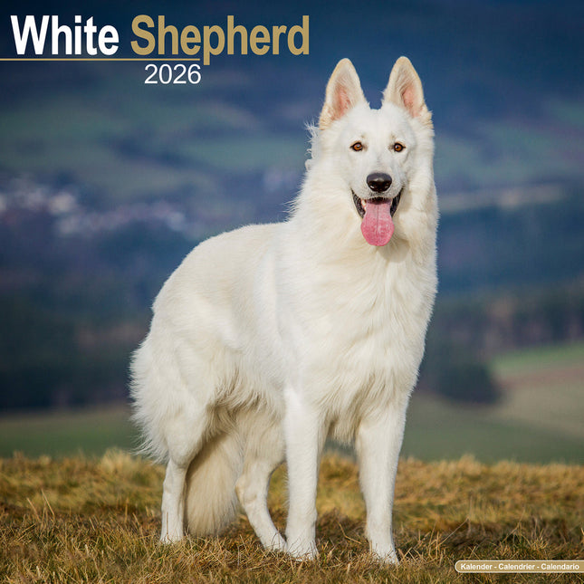 Avonside Witte Herder Kalender 2026