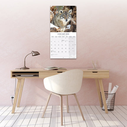 Avonside Wolven Kalender 2026
