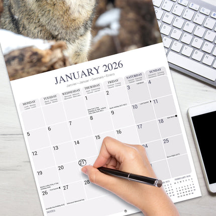 Avonside Wolven Kalender 2026