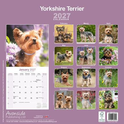 Avonside Yorkshire Terrier Kalender 2027