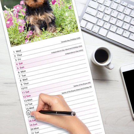 Avonside Yorkshire Terrier Kalender 2027 Slimline