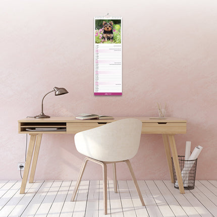 Avonside Yorkshire Terrier Kalender 2027 Slimline