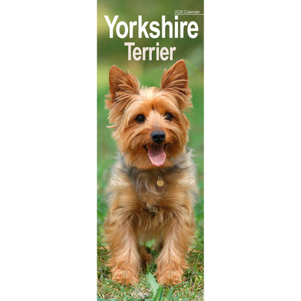 Avonside Yorkshire Terrier Kalender 2027 Slimline