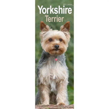 Avonside Yorkshire Terrier Kalender 2027 Slimline