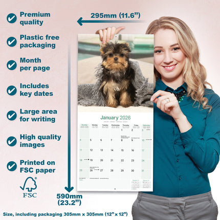 Avonside Yorkshire Terrier Puppies Kalender 2026