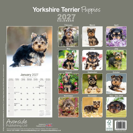 Avonside Yorkshire Terrier Puppies Kalender 2027