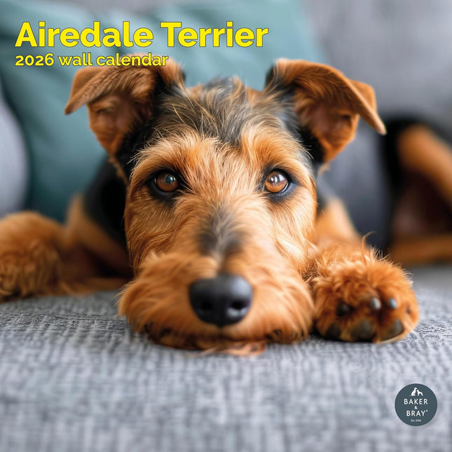 Baker & Bray Airedale Terrier Kalender 2026