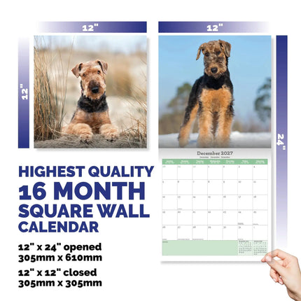Baker & Bray Airedale Terrier Kalender 2027