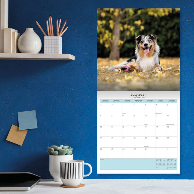 Baker & Bray Australian Shepherd Kalender 2025