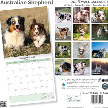 Baker & Bray Australian Shepherd Kalender 2026