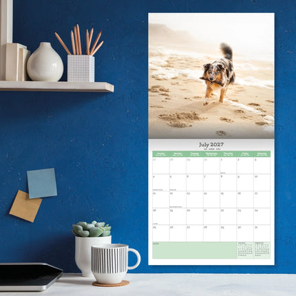 Baker & Bray Australian Shepherd Kalender 2027