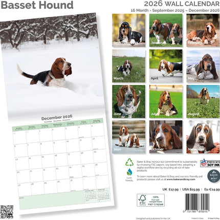 Baker & Bray Basset Hound Kalender 2026
