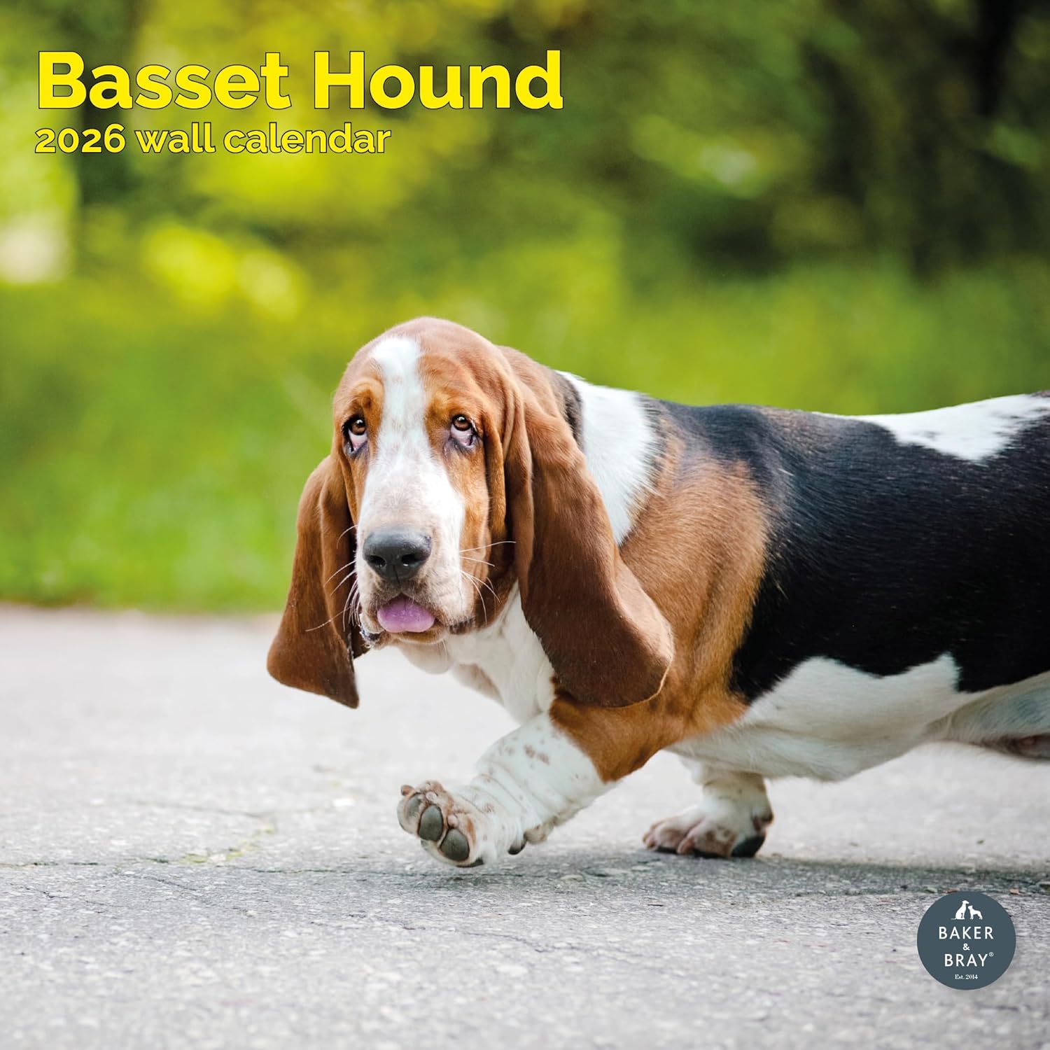 Acheter le calendrier Basset Hound 2025 Commandez facilement et