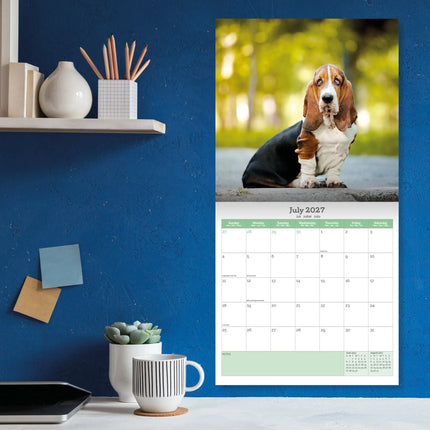 Baker & Bray Basset Hound Kalender 2027