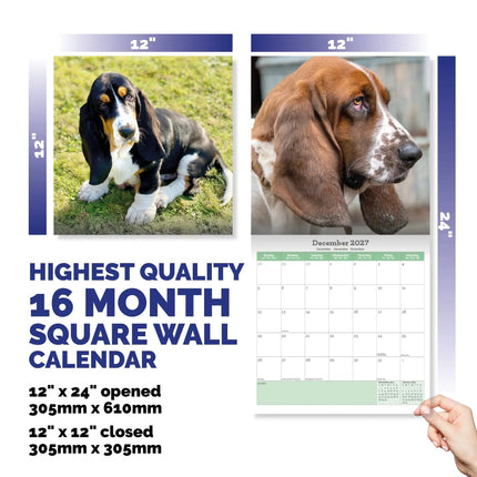 Baker & Bray Basset Hound Kalender 2027