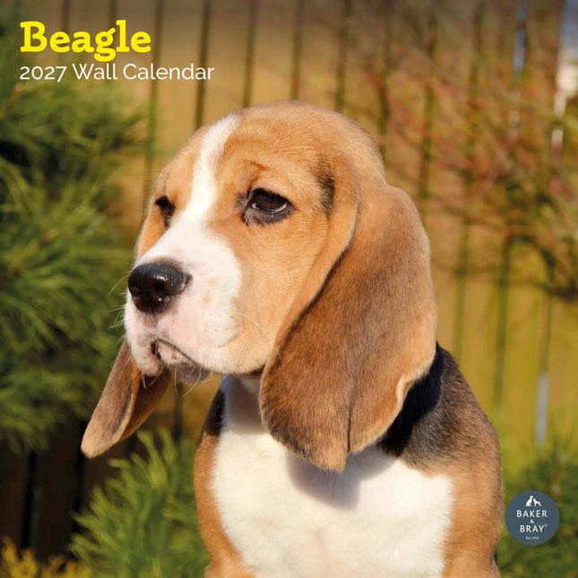 Baker & Bray Beagle Kalender 2027