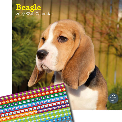 Baker & Bray Beagle Kalender 2027