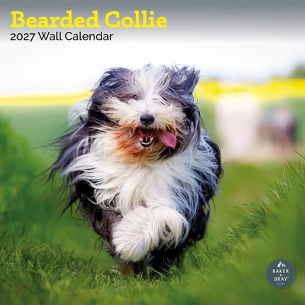 Baker & Bray Bearded Collie Kalender 2027