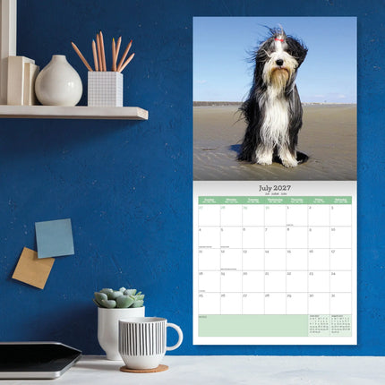 Baker & Bray Bearded Collie Kalender 2027