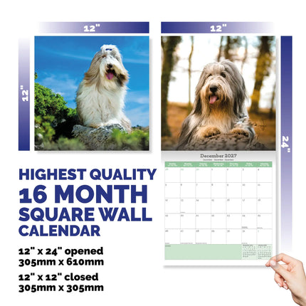 Baker & Bray Bearded Collie Kalender 2027
