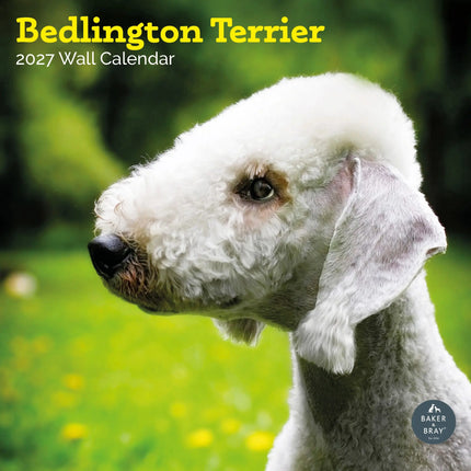 Baker & Bray Bedlington Terrier Kalender 2027