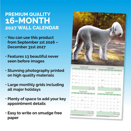 Baker & Bray Bedlington Terrier Kalender 2027